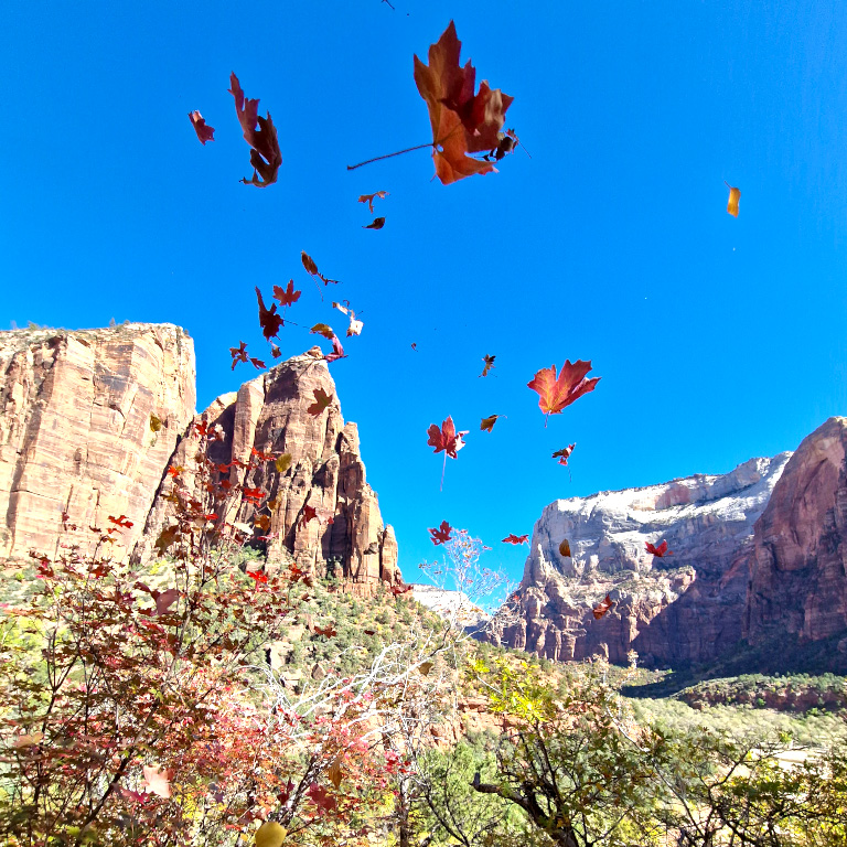 Yosemite automne