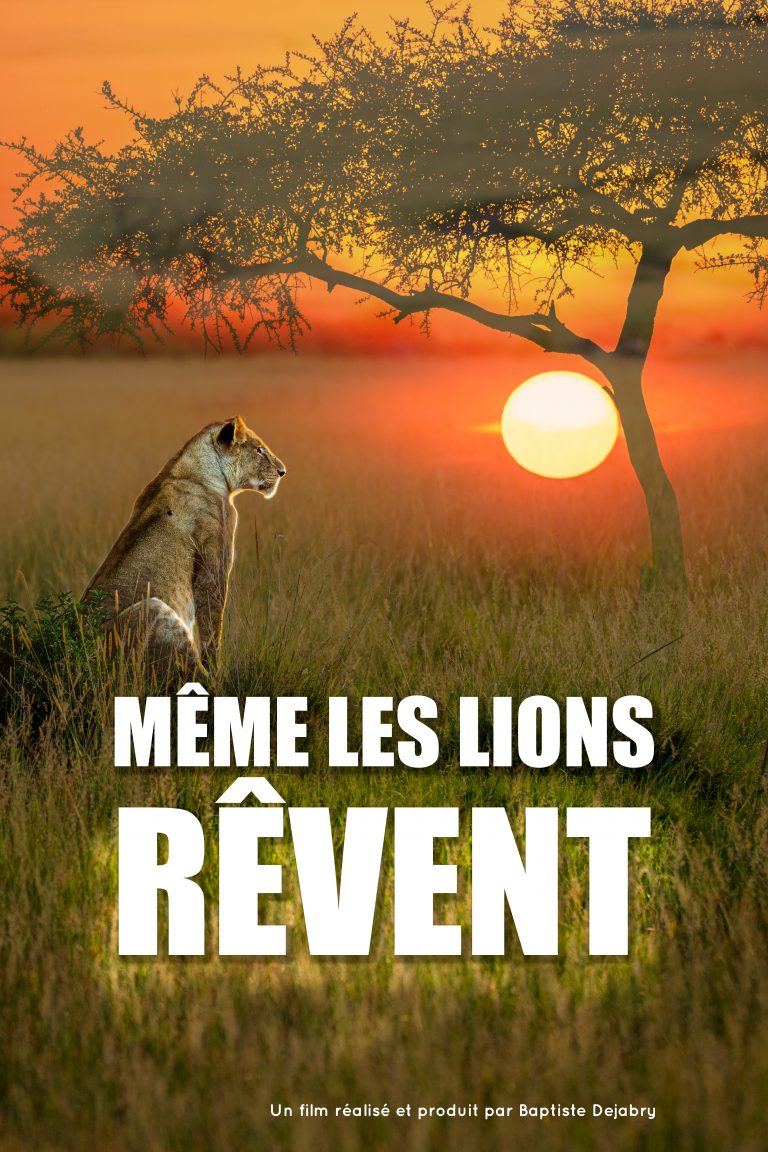 Affiche du documentaire